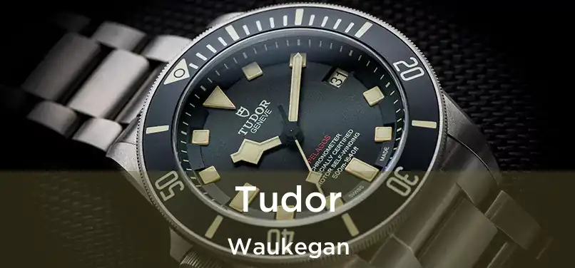 Tudor Waukegan